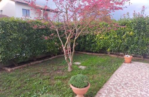 Fontanafredda House | La tua casa meravigliosa con giardino