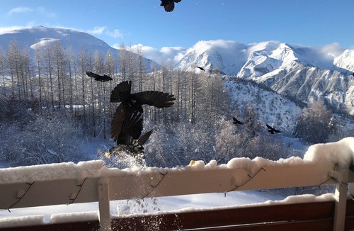Bergers Apartment | Mon Cocon tout Douillet, Resid. 4* Heated pool/Saunas