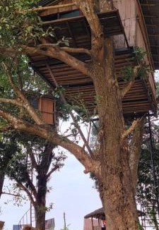 Sauraha Cabin | Pemsee's Tree Town - Eco-friendly,Tree house hostel
