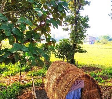 Sauraha Cabin | Pemsee's Tree Town - Eco-friendly,Tree house hostel
