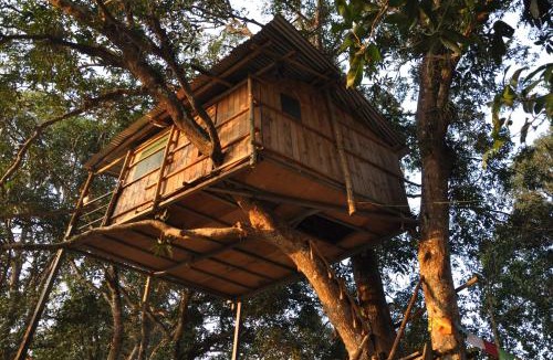 Sauraha Cabin | Pemsee's Tree Town - Eco-friendly,Tree house hostel