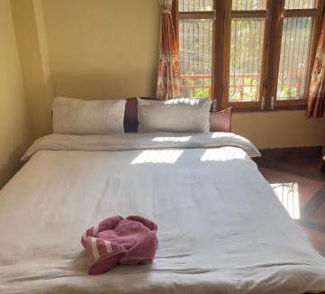 Sauraha House | Tara guesthouse - Sauraha,Chitwan