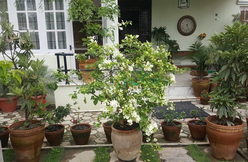 Kathmandu House | Villa City Garden Home stay