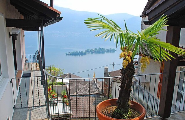 Casa Schalom 