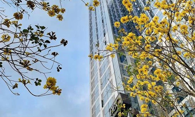 Longhua District Apartment | 100 m² Serviced apartment ∙ 3 bedrooms ∙ 6 guests