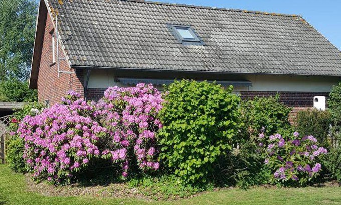 Sehestedt House | 120 m² House ∙ 3 bedrooms ∙ 6 guests