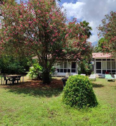 Adrasan Bed & Breakfast | 17 m² Bed and breakfast ∙ 2 guests