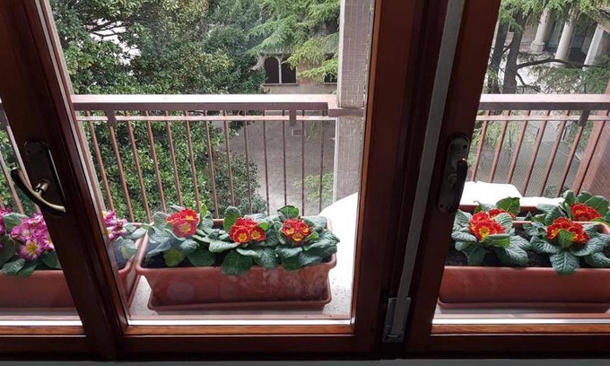 Pordenone Bed & Breakfast | 27 m² Bed and breakfast ∙ 3 guests