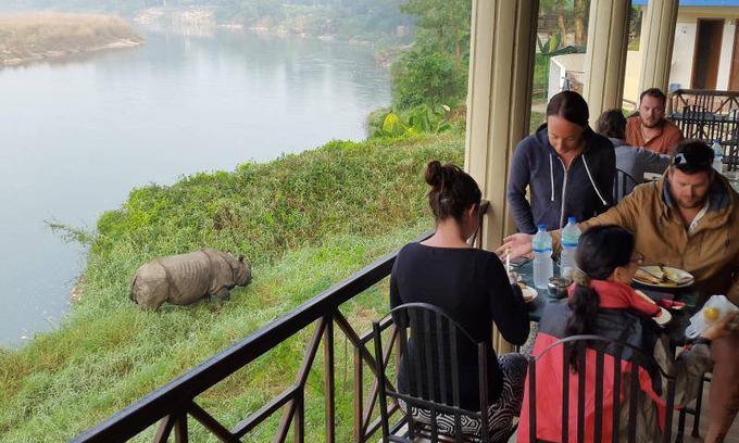 Sauraha Resort | 32 m² Resort ∙ 3 guests