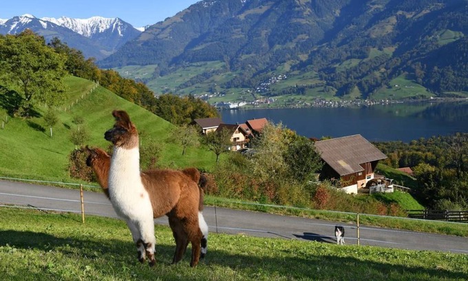 Sarnen House | 65 m² House ∙ 2 bedrooms ∙ 4 guests