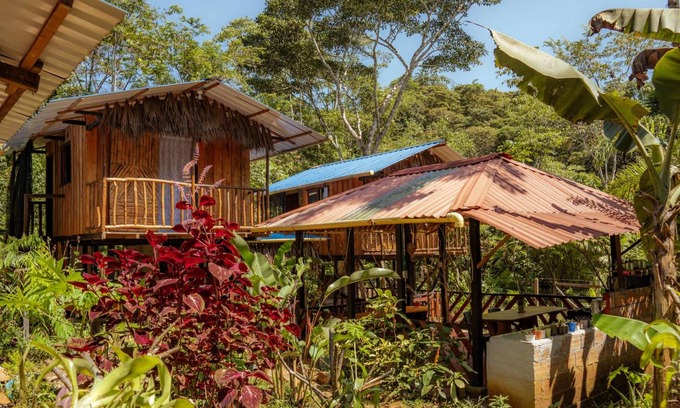 Mocoa Hostel | Hostel ∙ 8 guests