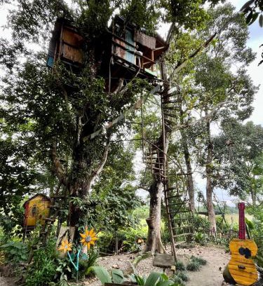 Sauraha Cabin | Pemsee's Tree Town - Eco-friendly,Tree house hostel