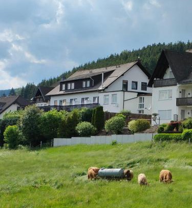 Zueschen Bed & Breakfast | Pension Sauerland