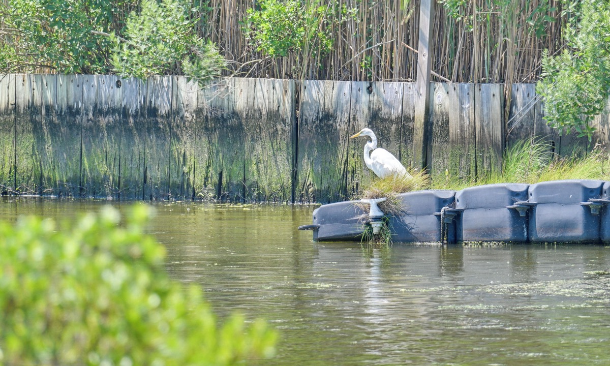 Remsenburg House | Hamptons Retreat w/Private Dock, Kayak & Canoe!