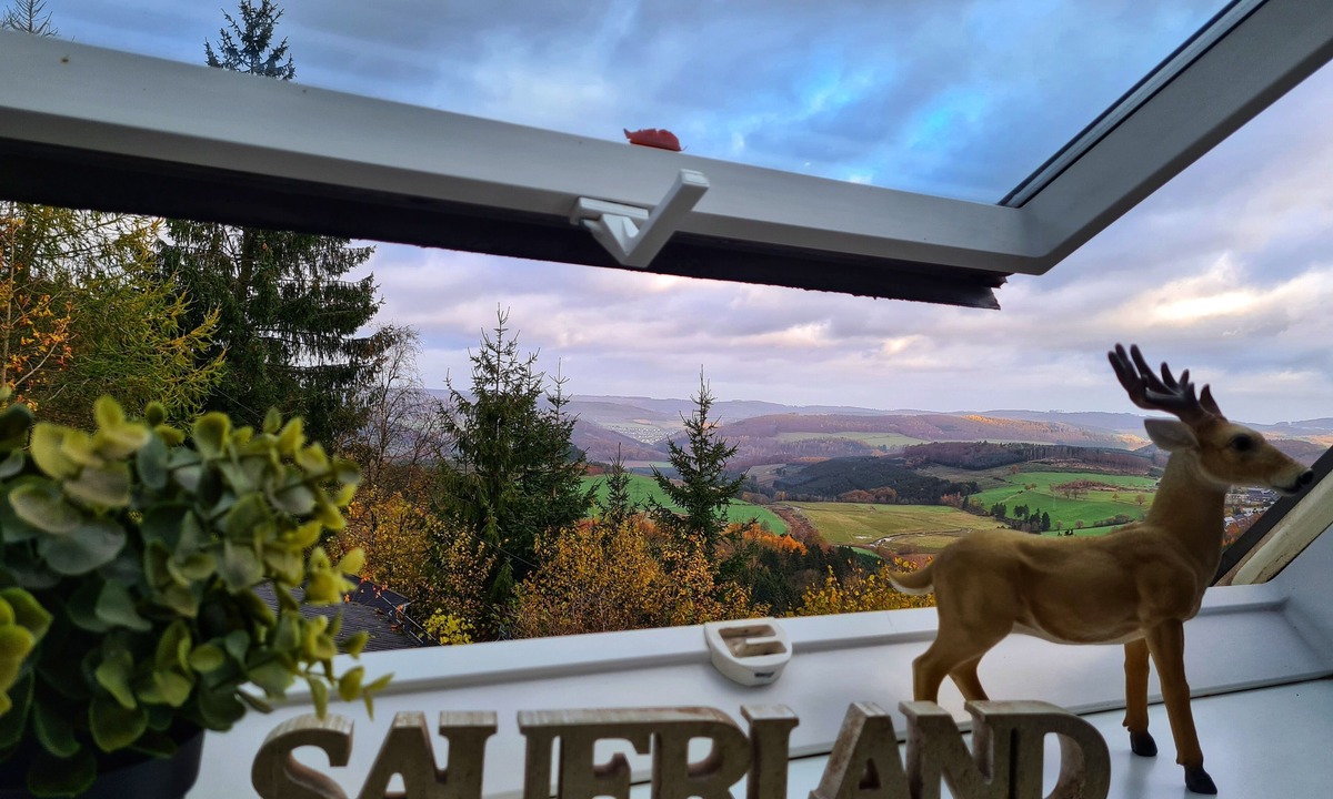 Berlar Apartment | Apartment for 4 guests with 56m² in Bestwig (273177)