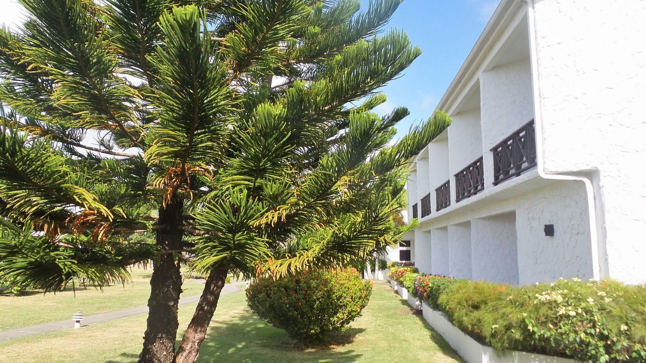 Photo of Buildings in The Lime