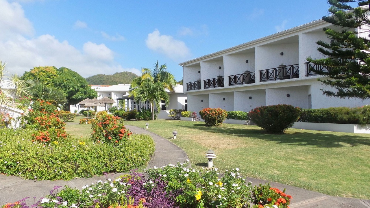 Photo of Buildings in The Lime