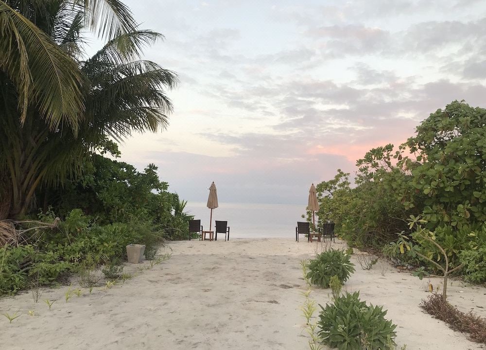 Photo of Others in Goidhoo
