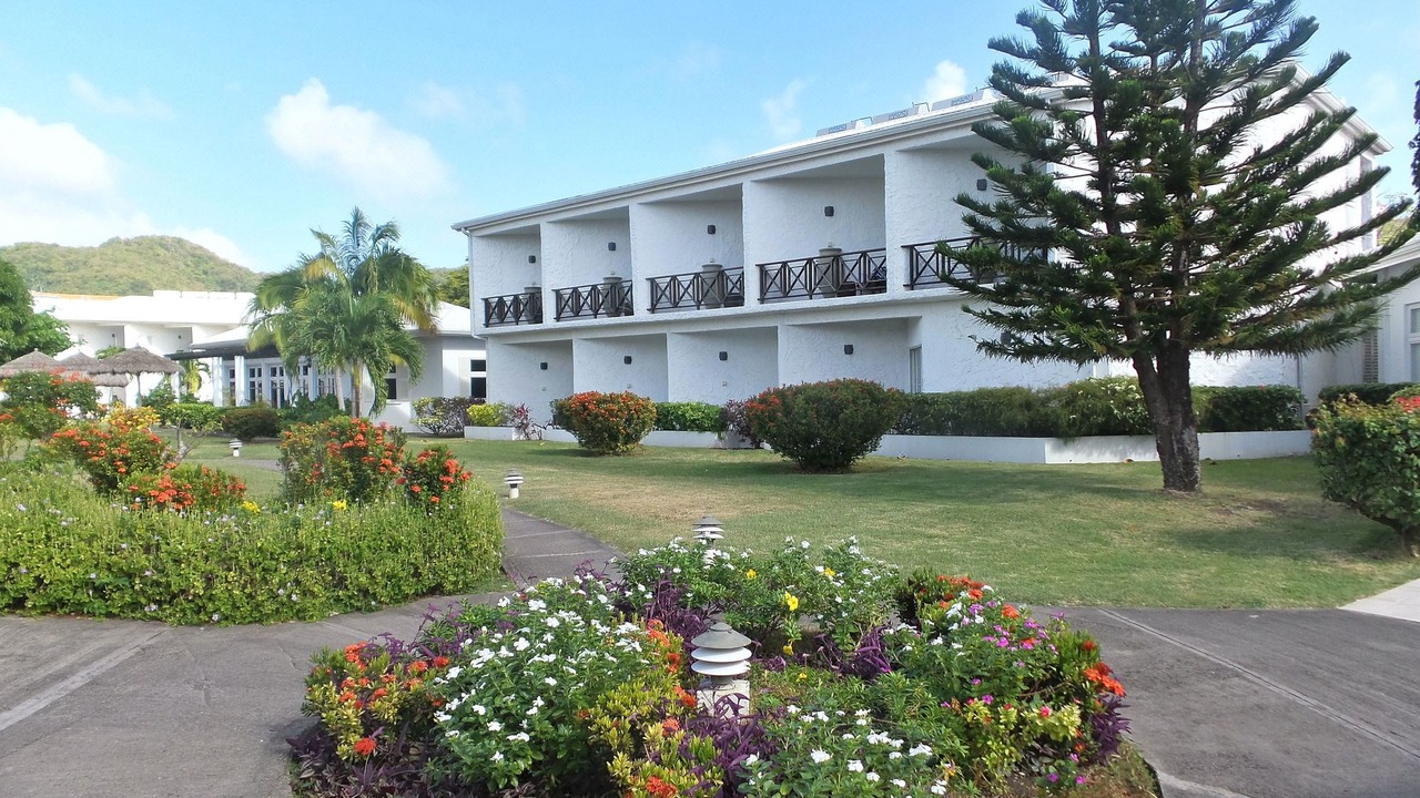 Photo of Buildings in The Lime