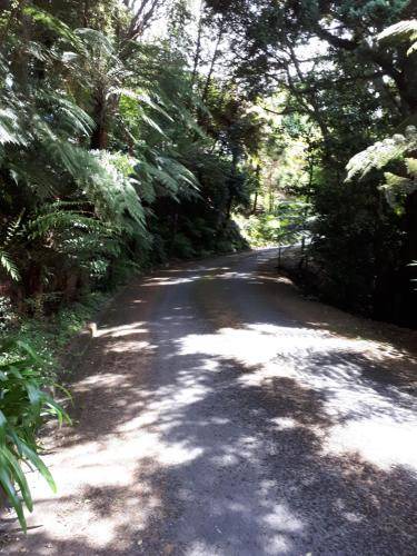 Photo of Outdoor in Taumarunui