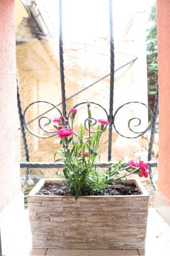 Photo of Patio Balcony in Sofia City Center