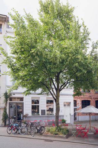Photo of Others in Klein-Antwerpen
