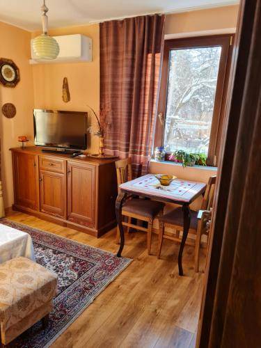 Photo of Livingroom in Lozenets