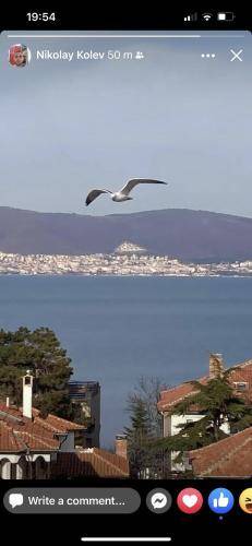 Photo of Others in Nessebar New Town