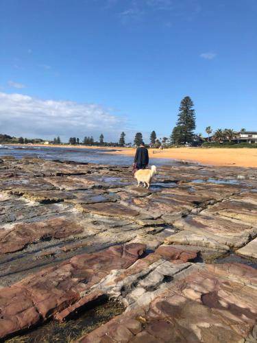 Photo of Others in Dee Why