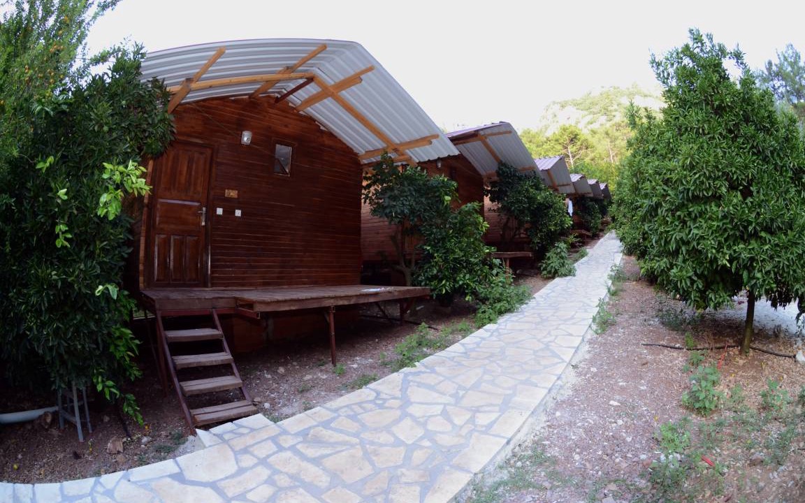 Photo of Others in Olympos