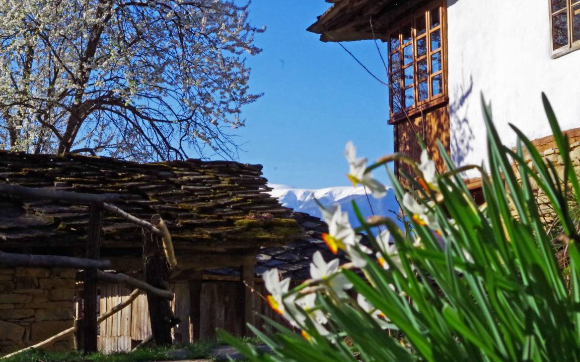 Photo of Others in Selishte