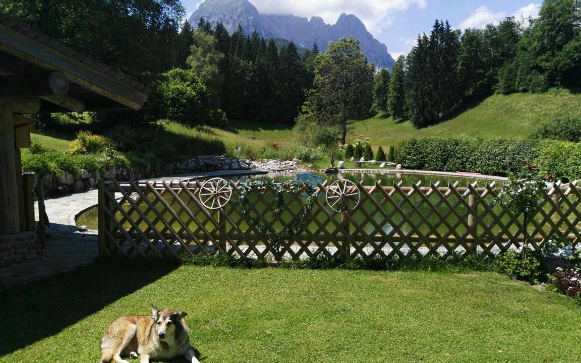 Photo of Others in Kirchdorf in Tirol