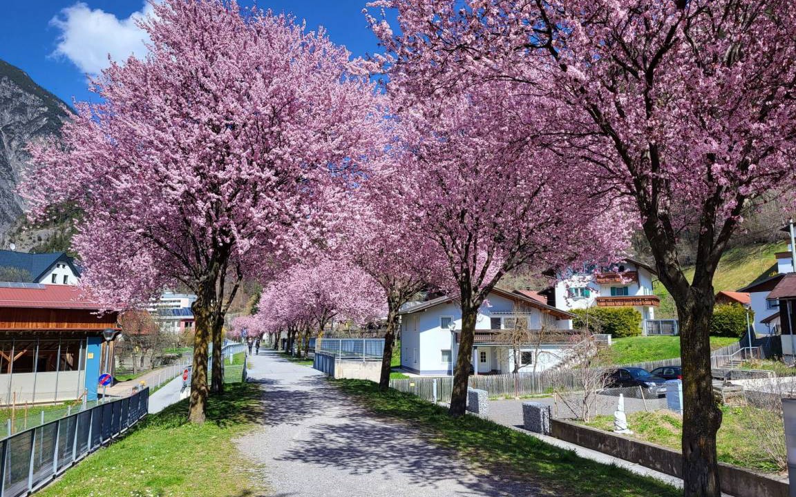 Photo of Others in Rifenal