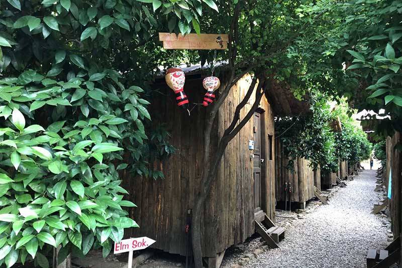 Photo of Others in Olympos
