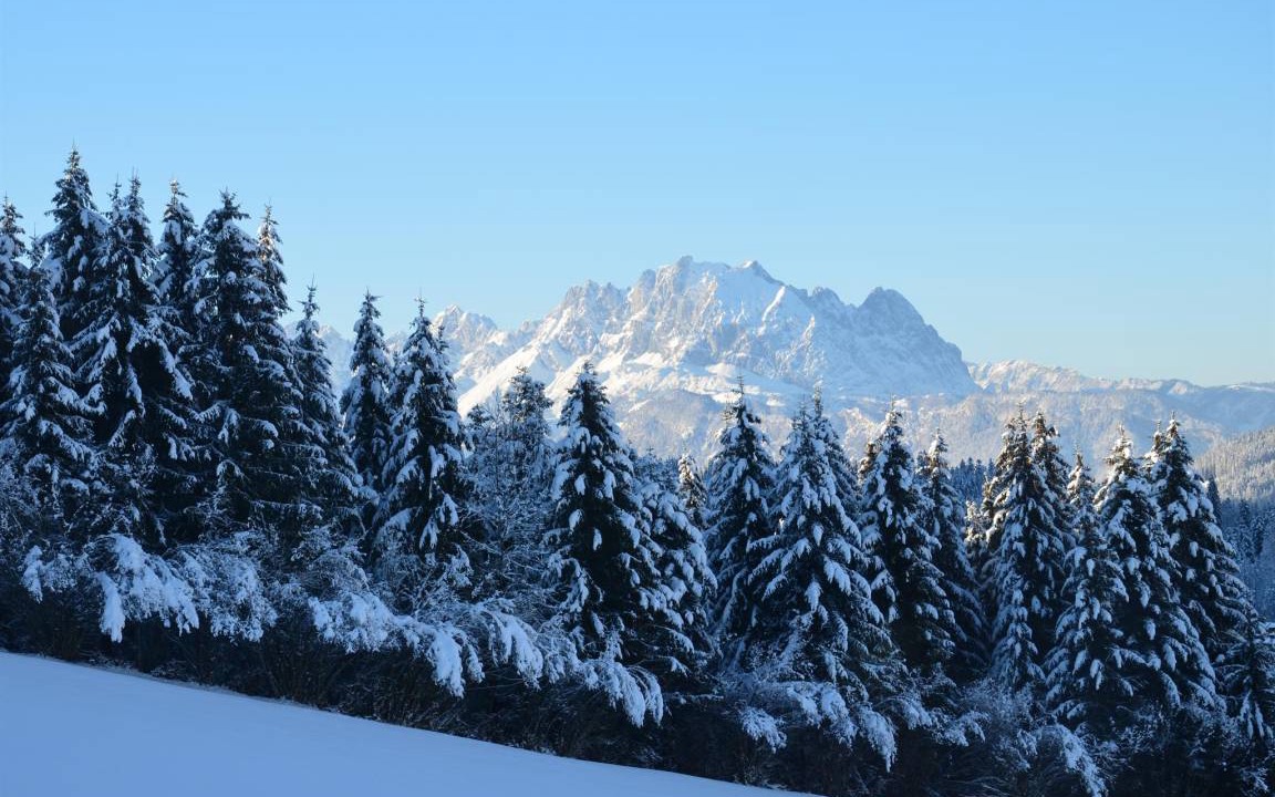 Photo of Others in Fieberbrunn