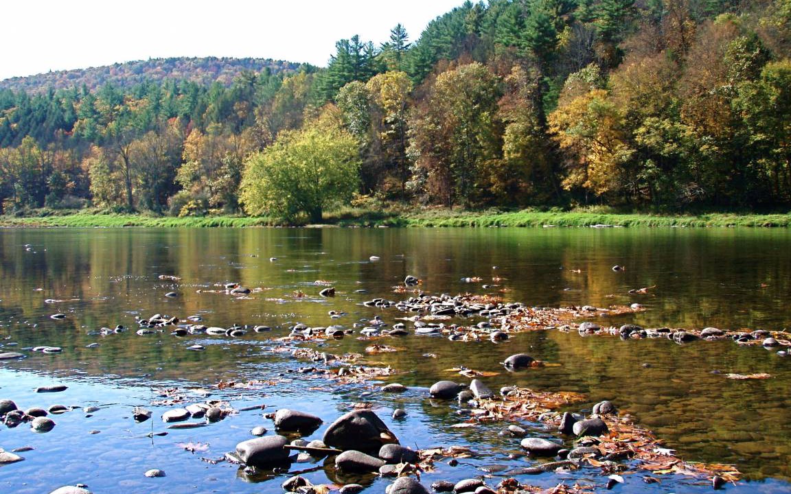 Photo of Others in Callicoon