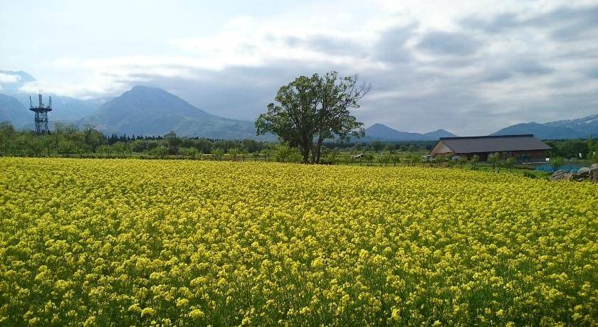 Photo of Others in Myoko