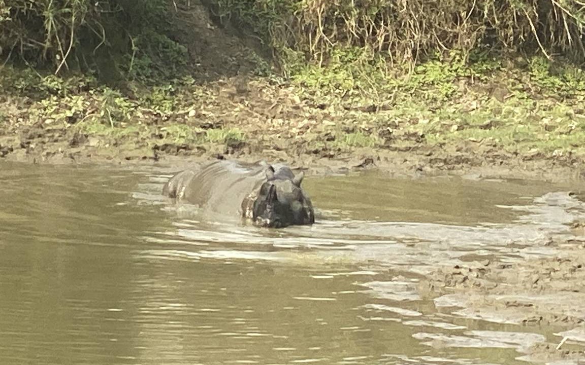 Photo of Others in Sauraha