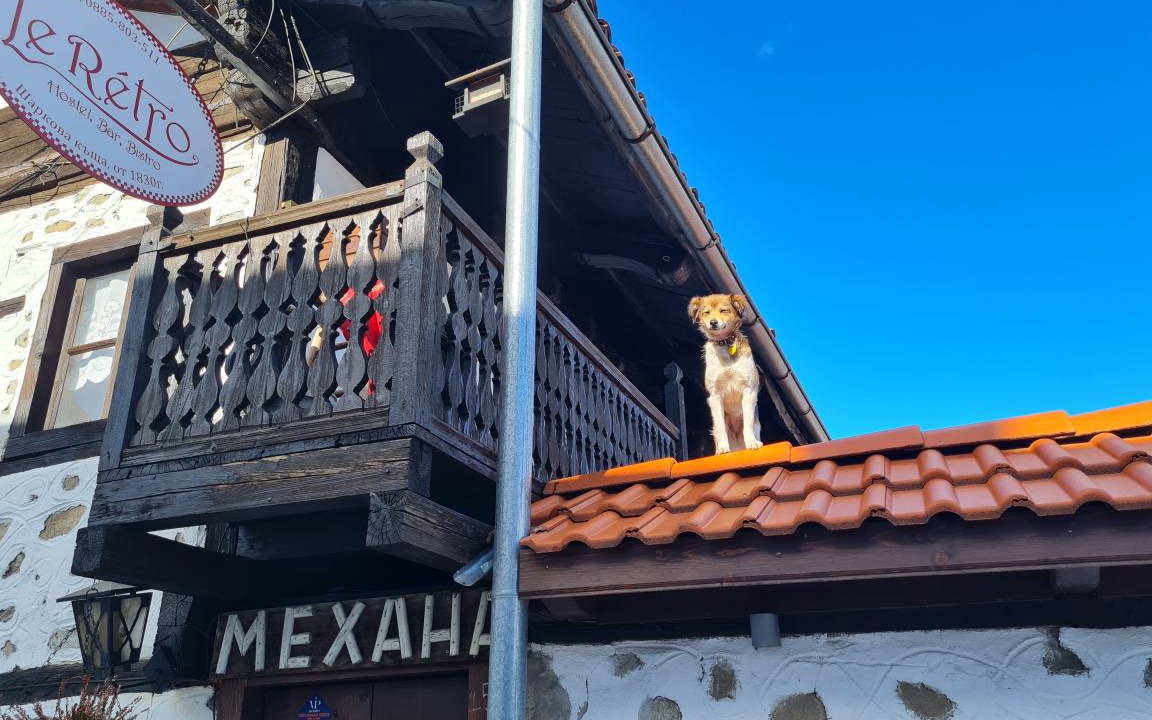 Photo of Others in Kvartal Noviya Grad