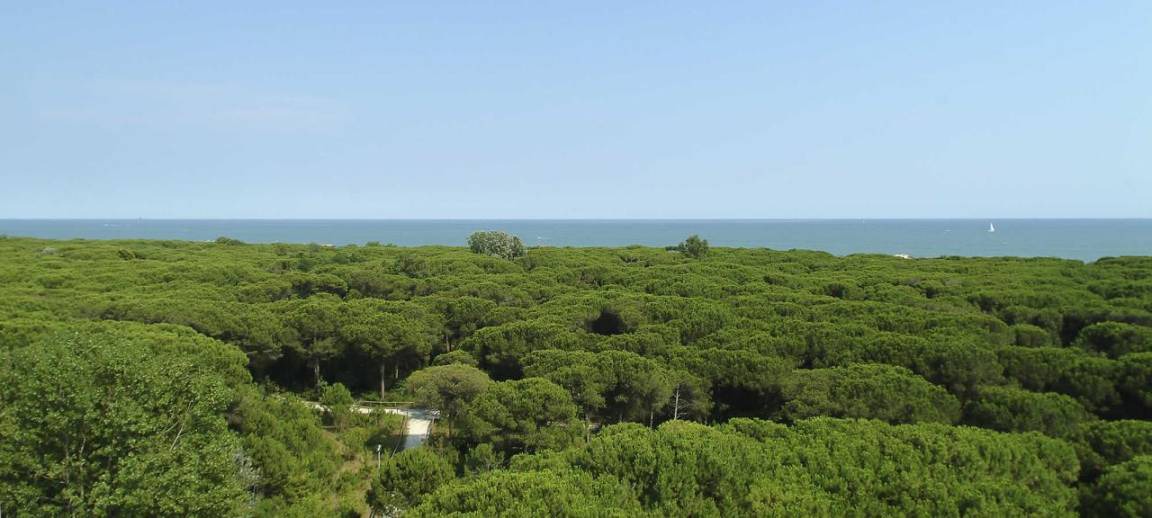 Photo of Others in Eraclea Mare