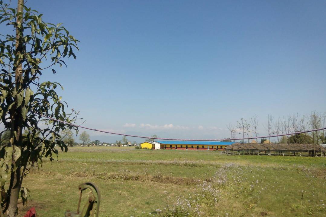 Photo of Others in Bharatpur