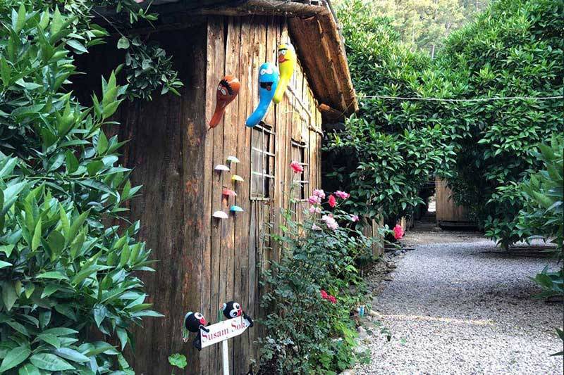Photo of Others in Olympos