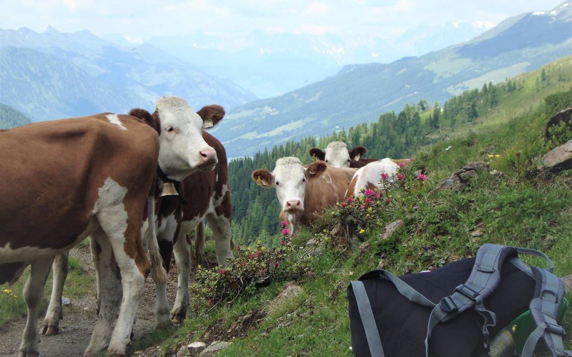 Photo of Others in Zell am See