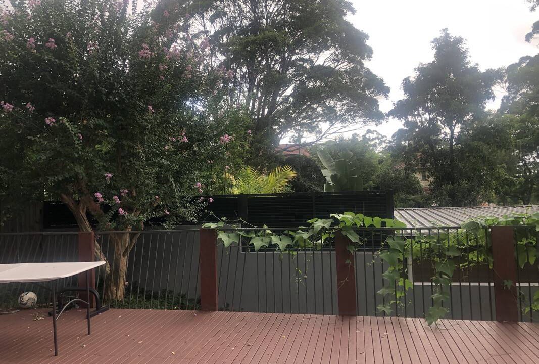 Photo of Others in Lane Cove