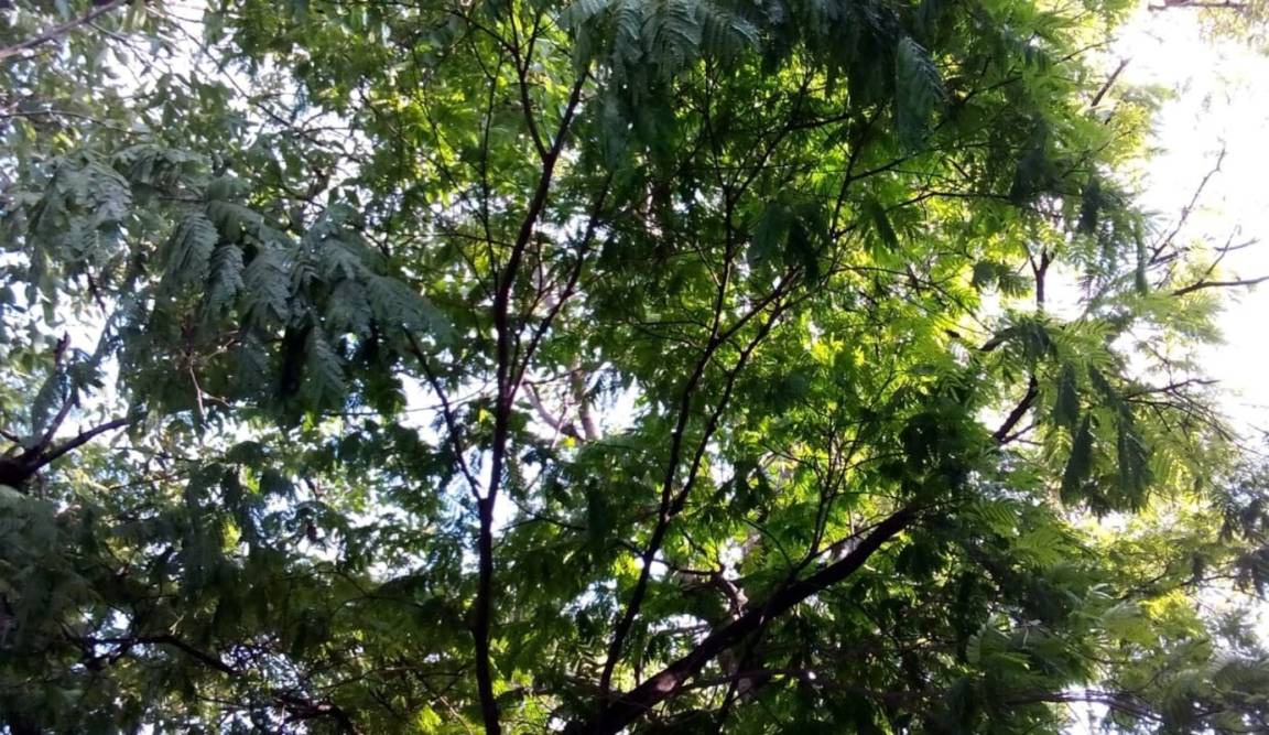 Photo of Outdoor in Laureles - Estadio