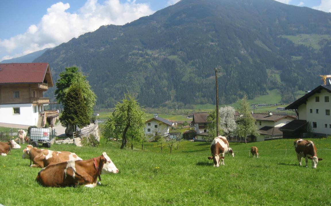 Photo of Others in Ried im Zillertal