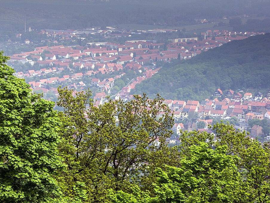 Photo of Others in Thale