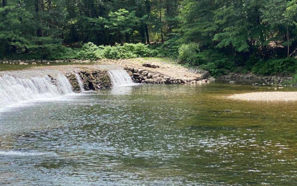 Photo of Others in Chambonas