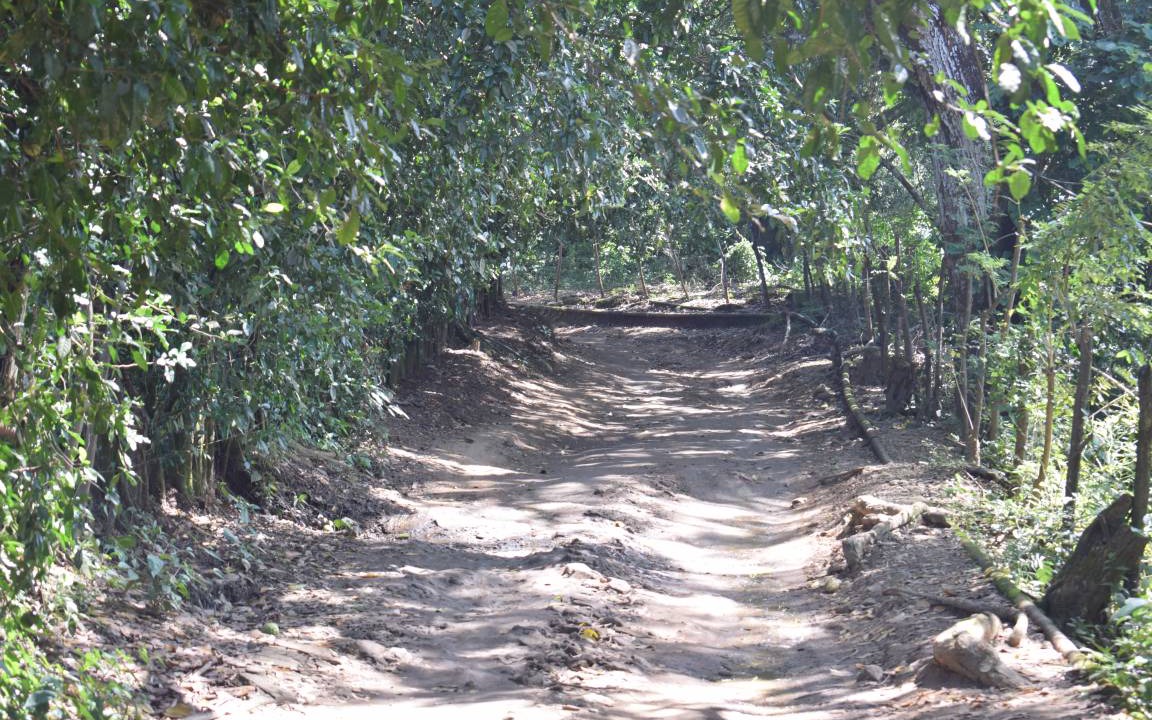 Photo of Others in Santa Marta