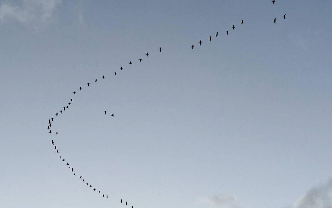 Photo of Others in Modlich